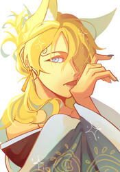 Fem Foxji